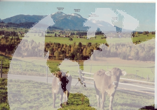 Wiesleutner Moos - D 1989 95 002 ●